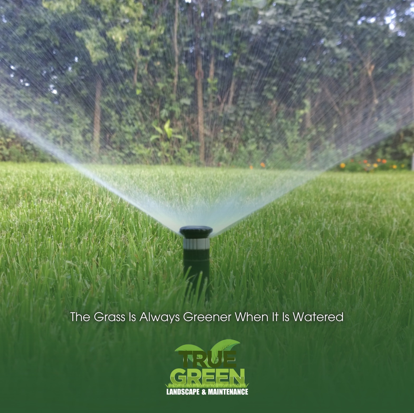 Irrigation Installation and Maintenance