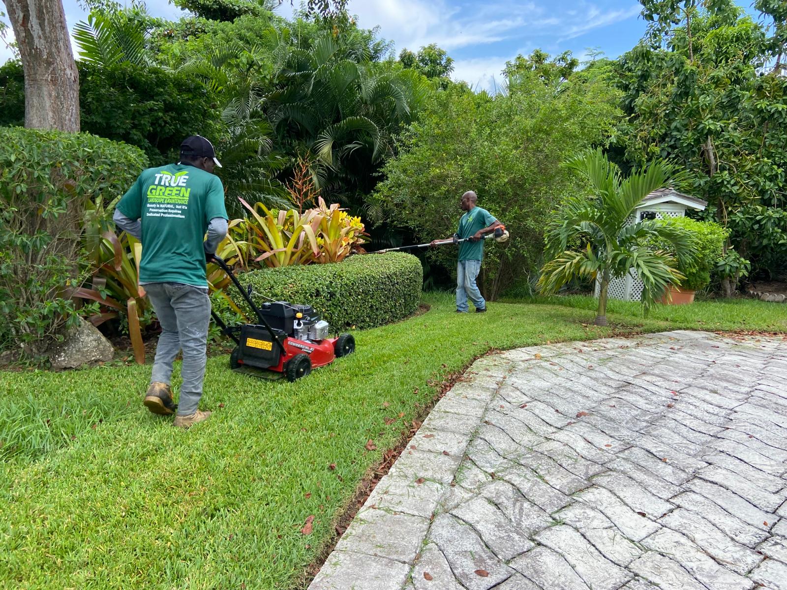 Landscape Maintenance