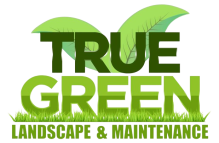True Green Bahamas – Landscape & Maintenance